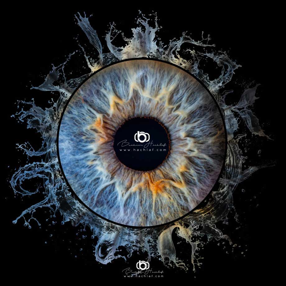 Photo d'iris effet eau bleu photographe Carquefou