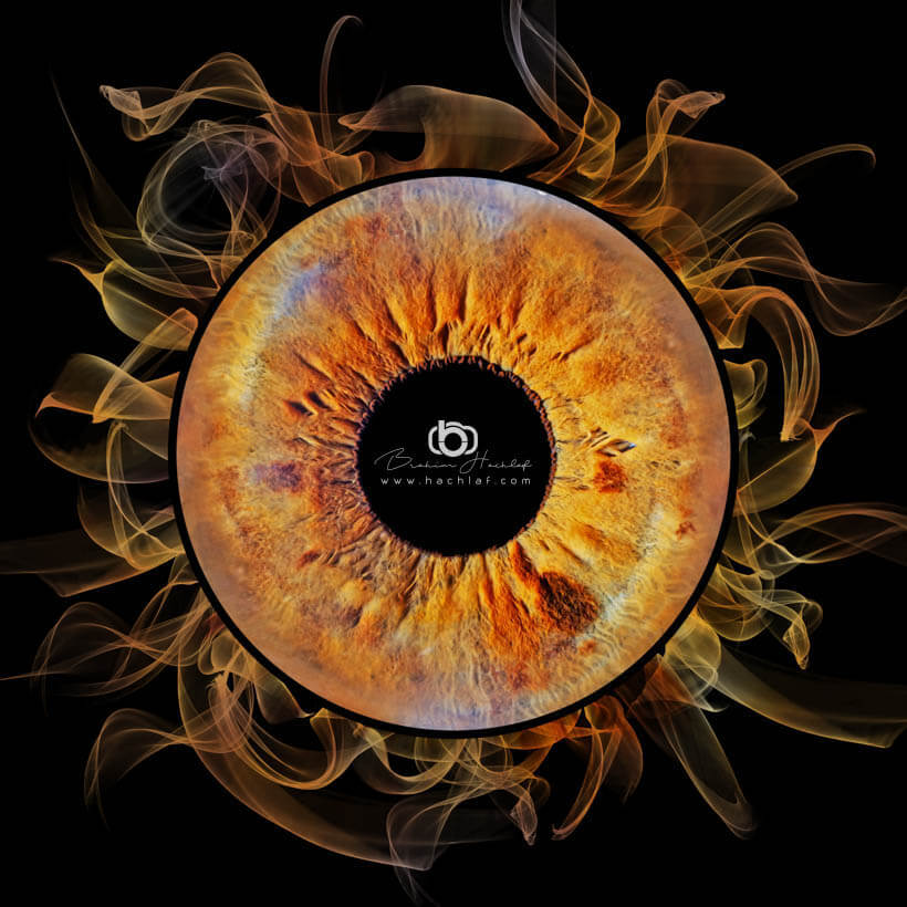 Photo d'iris effet feu orange — Nantes