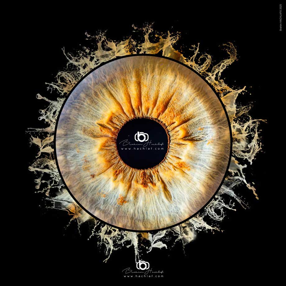 Photo iris splash doré Nantes